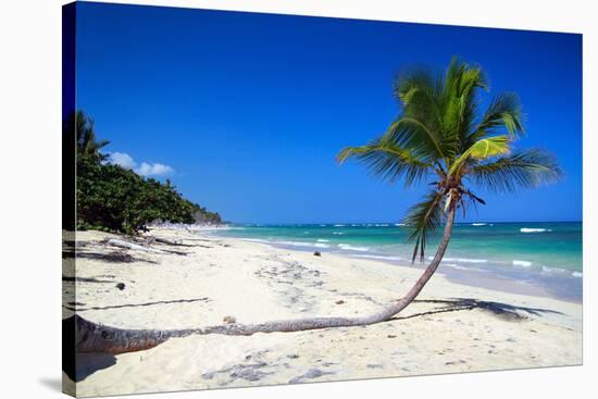 Caribbean Beach with Beautiful Palms and White Sand-pashapixel-Stretched Canvas