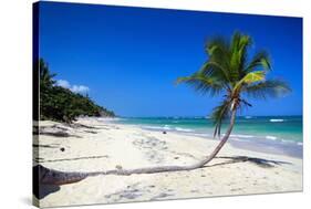 Caribbean Beach with Beautiful Palms and White Sand-pashapixel-Stretched Canvas