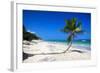 Caribbean Beach with Beautiful Palms and White Sand-pashapixel-Framed Photographic Print