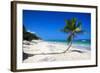 Caribbean Beach with Beautiful Palms and White Sand-pashapixel-Framed Photographic Print