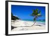 Caribbean Beach with Beautiful Palms and White Sand-pashapixel-Framed Photographic Print