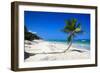 Caribbean Beach with Beautiful Palms and White Sand-pashapixel-Framed Photographic Print