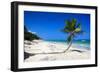 Caribbean Beach with Beautiful Palms and White Sand-pashapixel-Framed Photographic Print