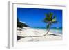 Caribbean Beach with Beautiful Palms and White Sand-pashapixel-Framed Photographic Print