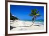 Caribbean Beach with Beautiful Palms and White Sand-pashapixel-Framed Photographic Print