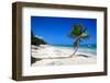 Caribbean Beach with Beautiful Palms and White Sand-pashapixel-Framed Photographic Print