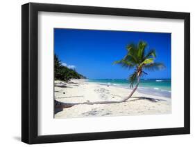 Caribbean Beach with Beautiful Palms and White Sand-pashapixel-Framed Photographic Print