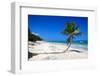 Caribbean Beach with Beautiful Palms and White Sand-pashapixel-Framed Photographic Print