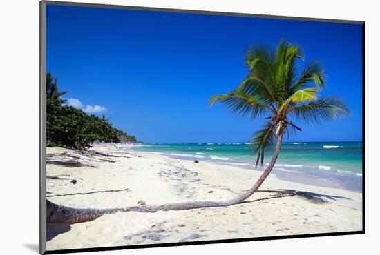 Caribbean Beach with Beautiful Palms and White Sand-pashapixel-Mounted Photographic Print