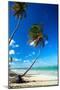 Caribbean Beach with Beautiful Palms and White Sand-pashapixel-Mounted Photographic Print