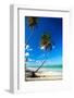 Caribbean Beach with Beautiful Palms and White Sand-pashapixel-Framed Photographic Print