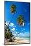 Caribbean Beach with Beautiful Palms and White Sand-pashapixel-Mounted Photographic Print