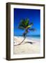 Caribbean Beach with Beautiful Palms and White Sand-pashapixel-Framed Photographic Print