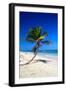 Caribbean Beach with Beautiful Palms and White Sand-pashapixel-Framed Photographic Print