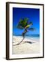 Caribbean Beach with Beautiful Palms and White Sand-pashapixel-Framed Photographic Print