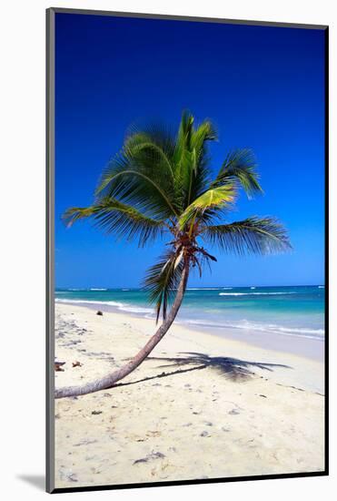 Caribbean Beach with Beautiful Palms and White Sand-pashapixel-Mounted Photographic Print