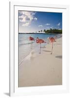 Caribbean Beach With Pink Flamingos, Aruba-George Oze-Framed Photographic Print