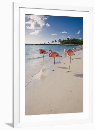 Caribbean Beach With Pink Flamingos, Aruba-George Oze-Framed Photographic Print