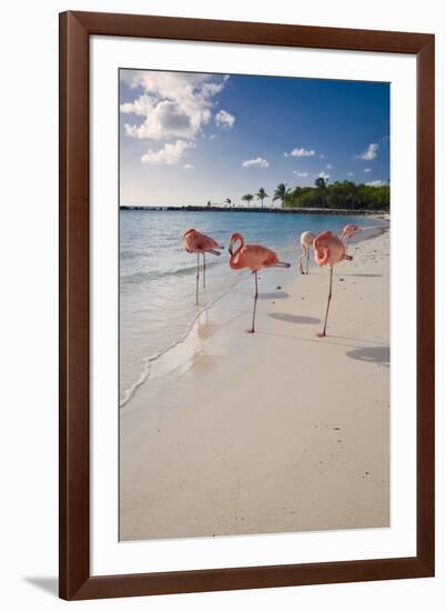 Caribbean Beach With Pink Flamingos, Aruba-George Oze-Framed Photographic Print