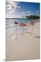 Caribbean Beach With Pink Flamingos, Aruba-George Oze-Mounted Premium Photographic Print