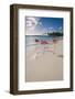 Caribbean Beach With Pink Flamingos, Aruba-George Oze-Framed Photographic Print