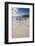 Caribbean Beach With Pink Flamingos, Aruba-George Oze-Framed Photographic Print