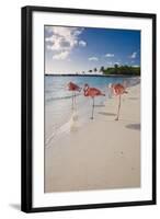 Caribbean Beach With Pink Flamingos, Aruba-George Oze-Framed Photographic Print