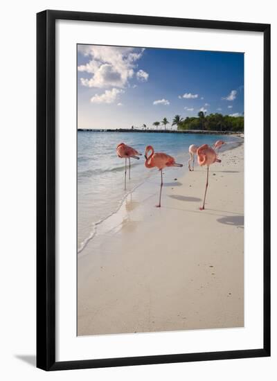 Caribbean Beach With Pink Flamingos, Aruba-George Oze-Framed Photographic Print