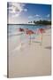 Caribbean Beach With Pink Flamingos, Aruba-George Oze-Stretched Canvas