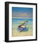 Caribbean Beach-Vahe Yeremyan-Framed Art Print