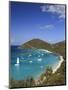 Caribbean, British Virgin Islands, Jost Van Dyke, White Bay-Michele Falzone-Mounted Photographic Print