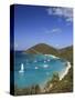 Caribbean, British Virgin Islands, Jost Van Dyke, White Bay-Michele Falzone-Stretched Canvas