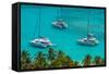 Caribbean, British Virgin Islands, Jost Van Dyke, White Bay-Alan Copson-Framed Stretched Canvas