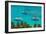 Caribbean, British Virgin Islands, Jost Van Dyke, White Bay-Alan Copson-Framed Photographic Print