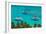 Caribbean, British Virgin Islands, Jost Van Dyke, White Bay-Alan Copson-Framed Photographic Print