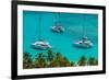 Caribbean, British Virgin Islands, Jost Van Dyke, White Bay-Alan Copson-Framed Photographic Print