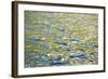 Caribbean, British Virgin Islands, Peter Island. Water Patterns-Kevin Oke-Framed Photographic Print