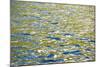 Caribbean, British Virgin Islands, Peter Island. Water Patterns-Kevin Oke-Mounted Photographic Print