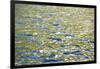 Caribbean, British Virgin Islands, Peter Island. Water Patterns-Kevin Oke-Framed Photographic Print