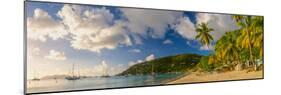 Caribbean, British Virgin Islands, Tortola, Cane Garden Bay, Cane Garden Bay Beach-Alan Copson-Mounted Photographic Print