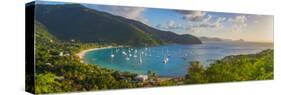 Caribbean, British Virgin Islands, Tortola, Cane Garden Bay-Alan Copson-Stretched Canvas