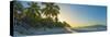 Caribbean, British Virgin Islands, Tortola, Long Bay, Long Bay Beach-Alan Copson-Stretched Canvas