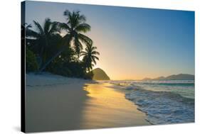 Caribbean, British Virgin Islands, Tortola, Long Bay, Long Bay Beach-Alan Copson-Stretched Canvas