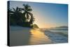 Caribbean, British Virgin Islands, Tortola, Long Bay, Long Bay Beach-Alan Copson-Stretched Canvas