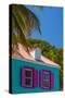 Caribbean, British Virgin Islands, Tortola, Sopers Hole, Traditional Shuttered Windows-Alan Copson-Stretched Canvas