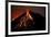 Caribbean, Costa Rica. Mt. Arenal erupting with molten lava-Jaynes Gallery-Framed Premium Photographic Print