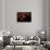 Caribbean, Costa Rica. Mt. Arenal erupting with molten lava-Jaynes Gallery-Framed Stretched Canvas displayed on a wall