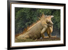 Caribbean, Costa Rica. Profile of green iguana-Jaynes Gallery-Framed Premium Photographic Print