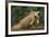 Caribbean, Costa Rica. Profile of green iguana-Jaynes Gallery-Framed Premium Photographic Print