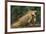 Caribbean, Costa Rica. Profile of green iguana-Jaynes Gallery-Framed Premium Photographic Print